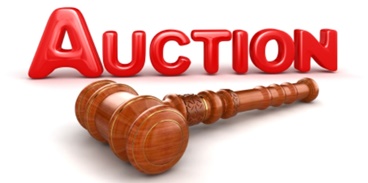 Auction